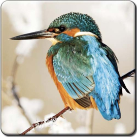 3D onderzetter IJsvogel winter