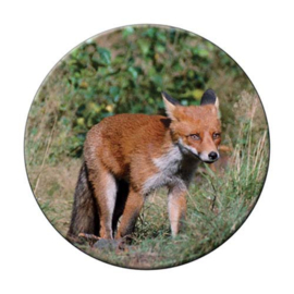 Ronde onderzetter Vos