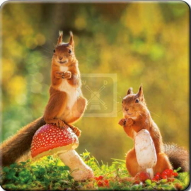 3D onderzetter Eekhoorns