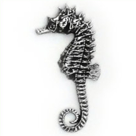 Tinnen speldje/pin Zeepaard