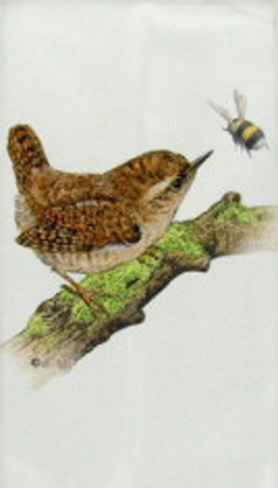 Gastendoeken Natuur afbeelding