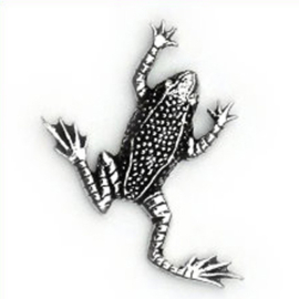 Tinnen speldje/pin Kikker