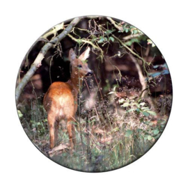 Ronde onderzetters Reegeit