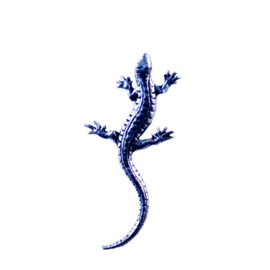 Tinnen speldje/pin Salamander
