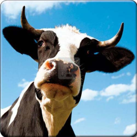3D Onderzetter Koe