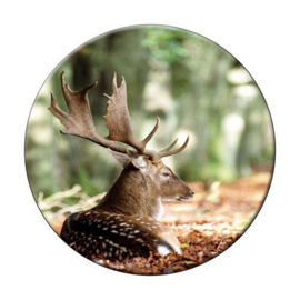 Ronde onderzetter Damhert