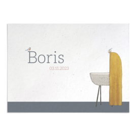 Geboortekaart Boris