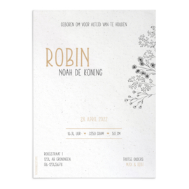 Geboortekaart Robin