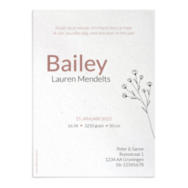 Geboortekaart Bailey