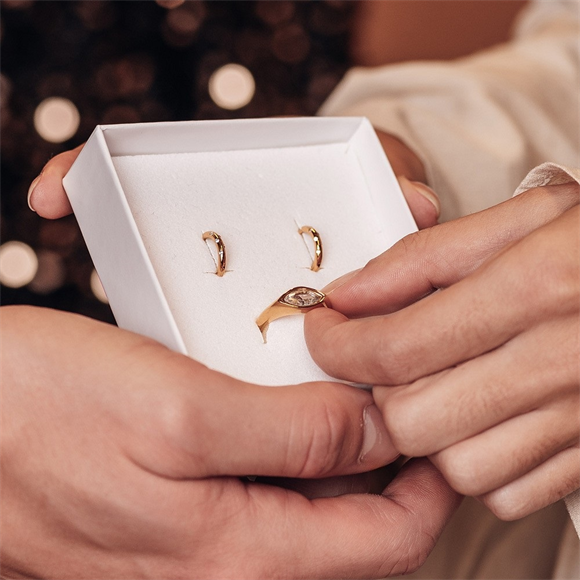 Fame Elegance sieraden set Goud