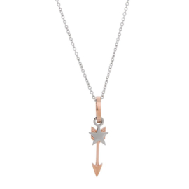 iXXXi Jewelry Charm Pijl Rosé