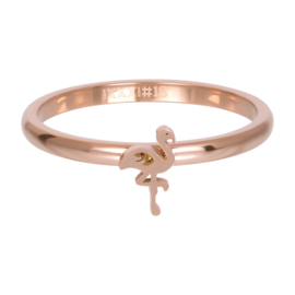 iXXXi Jewelry Vulring Symbol Flamingo Rosé 2mm