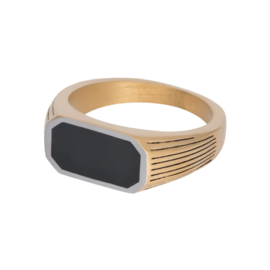 iXXXi Men Ring BMW Mat Goud