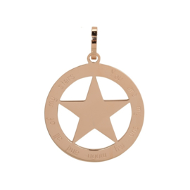 iXXXi Jewelry Hanger Ster Rosé ∅38