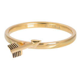iXXXi Jewelry Vulring Symbol Arrow Gold