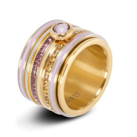 iXXXi Jewelry vulring Double Gear Zilverkleurig/Goudkleurig 2mm