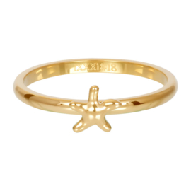 iXXXi Jewelry Vulring Symbol  Sea Star Goudkleurig 2mm