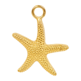 iXXXi Jewelry Charm Starfish Goudkleurig