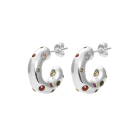 Oorbellen Gleam Zilver