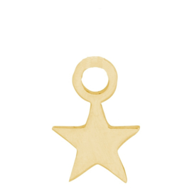 iXXXi Jewelry Charm Kleine Ster Goud