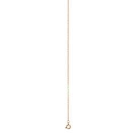 iXXXi Jewelry Ketting 1mm 40-80cm Rosé