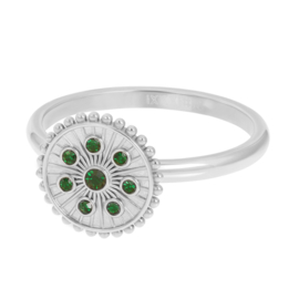 Midnight Emerald Zilverkleurig