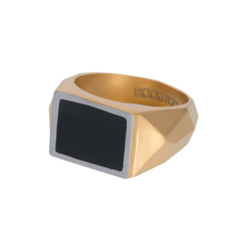 iXXXi Men Ring Audi Mat Goud