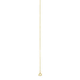 iXXXi Jewelry Ketting 1mm 40-80cm Goudkleurig