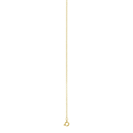 iXXXi Jewelry Ketting 1mm 40-80cm Goudkleurig