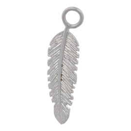 iXXXi Jewelry Charm Feather Silver colour