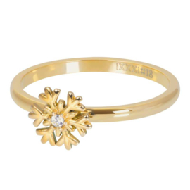 iXXXi Jewelry Vulring Snowflake 2mm Goudkleurig