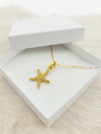 Samengestelde iXXXi Ketting Starfish Goud