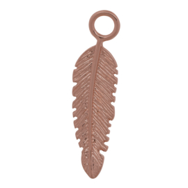 iXXXi Jewelry Charm Feather Brown