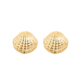 iXXXi Jewelry Ear Studs Shell Goudkleurig