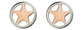 iXXXi Jewelry Oorsteker Ster Rosé