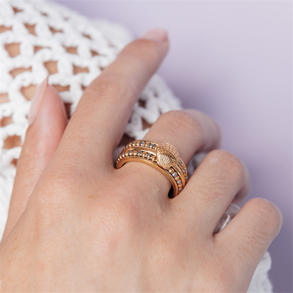 Samengestelde iXXXi ring Salted Shell Goud