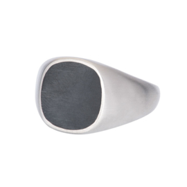 iXXXi Men Ring Rover Zilver