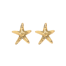 iXXXi Jewelry Ear Studs Starfish Goudkleurig