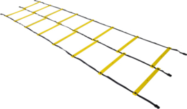 Loopladder dubbel