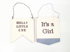 Hello Little One | Banner