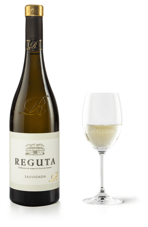 Sauvignon Blanc Superiore Reguta