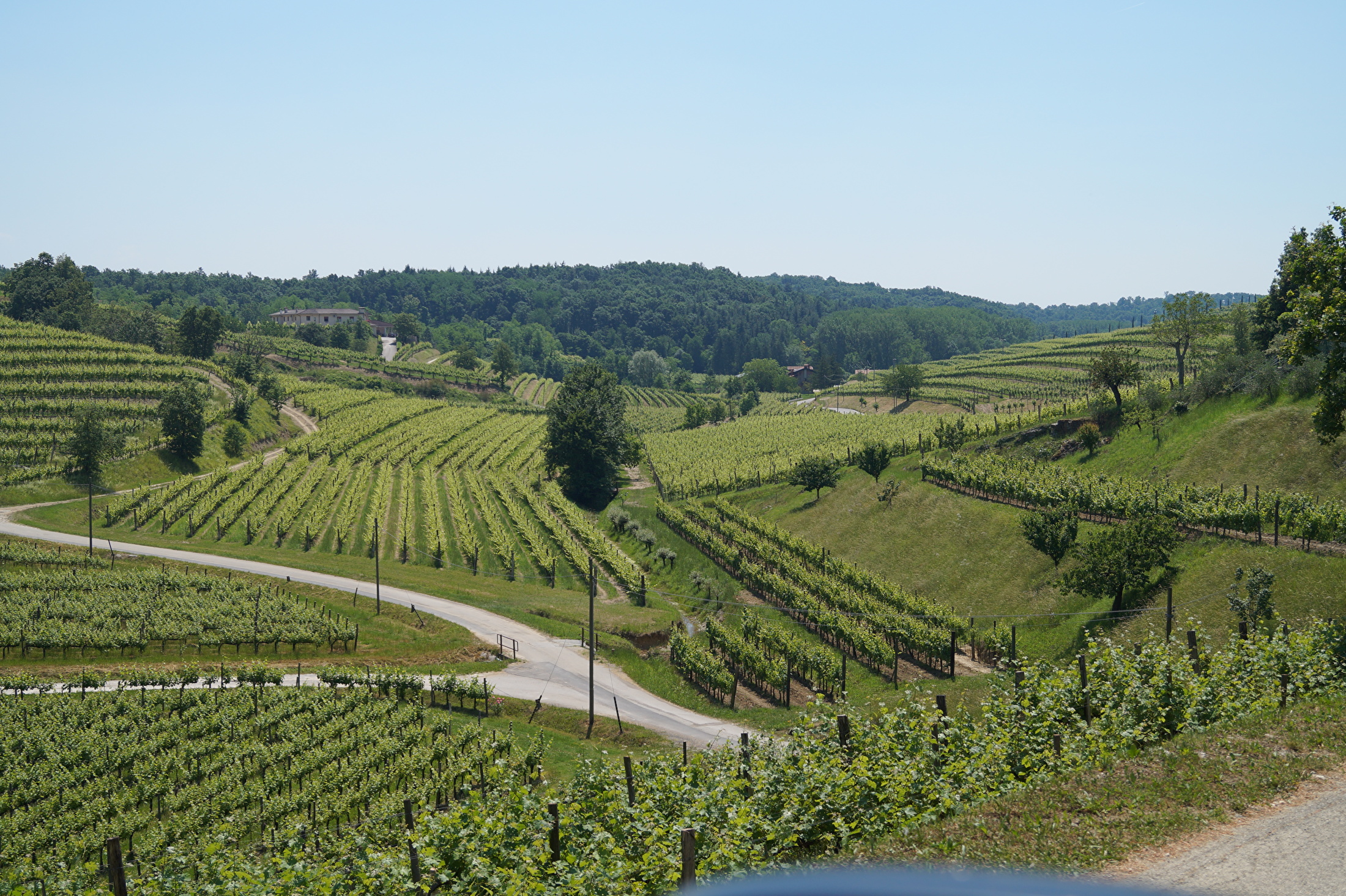 Friuli Venezia Giulia