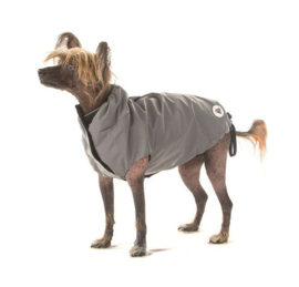 I Love My Dog - Night Light Jacket zilver