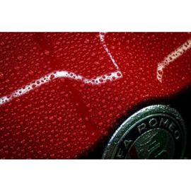 Turtle Wax Wax It Wet