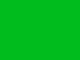 Sierbies 6mm Licht Groen