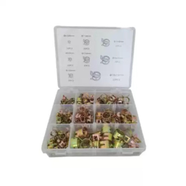 Assortiment Oorklemmen
