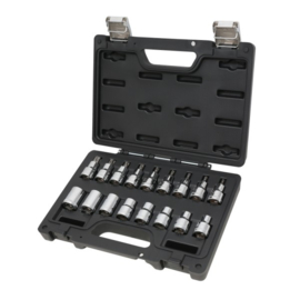 Beta Assortiment 17 Delig Torx doppen