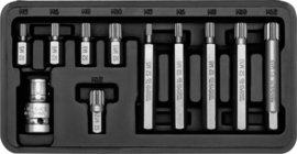 Multi torx doppenset 11 delig