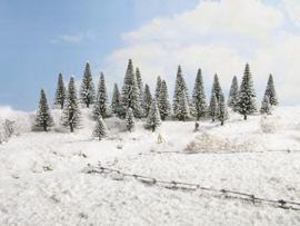 Sneeuw Dennen 25 stuks 5 - 14 cm hoog
