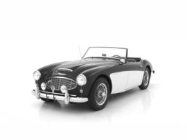 Austin Healey